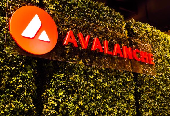 VanEck Launches Avalanche ETF on NASDAQ, What It Means for Web3 Gaming and the AVAX Ecosystem | PlayToEarn