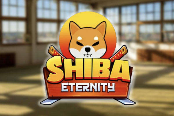 A Guide on Shiba Eternity | PlayToEarn