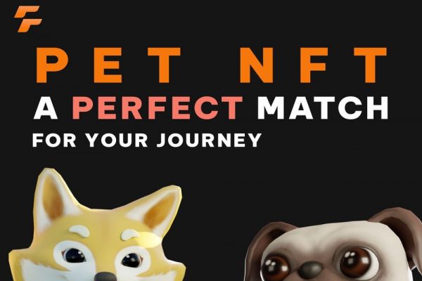 beFITTER releases info on Pet NFT System | PlayToEarn